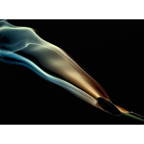 Silk Black Modern Wood Framed Art Print by Ianeva, Aida