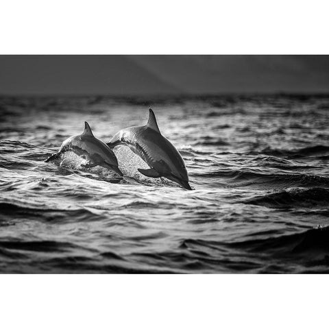 The Mother and the Baby White Modern Wood Framed Art Print by Song, Gunarto