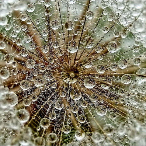 Dream Gold Ornate Wood Framed Art Print with Double Matting by Markova, Tanya