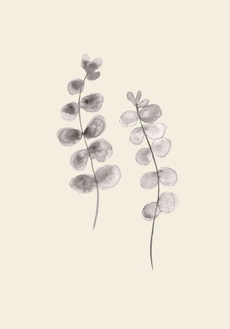 Eucalyptus Twigs White Modern Wood Framed Art Print with Double Matting by Artographie Studio