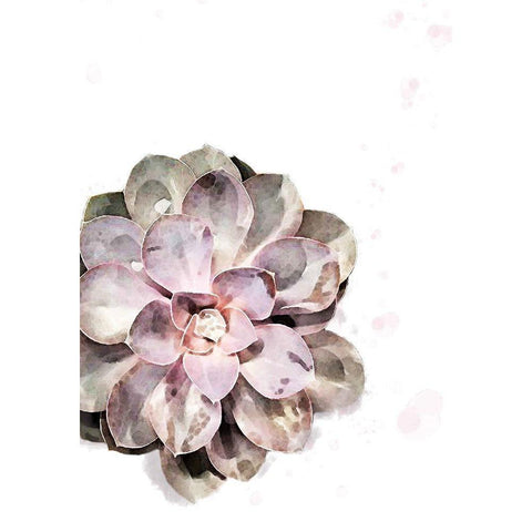 Succulent Plant 02 White Modern Wood Framed Art Print by Artographie Studio