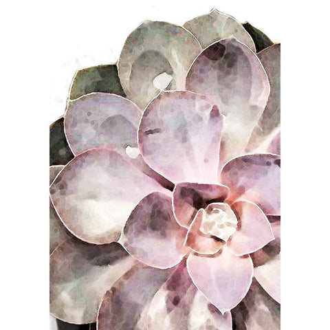 Succulent Plant 04 White Modern Wood Framed Art Print by Artographie Studio