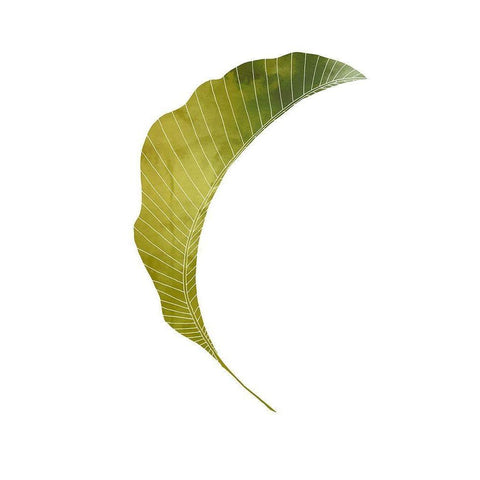 Banana Leaf White Modern Wood Framed Art Print by Artographie Studio