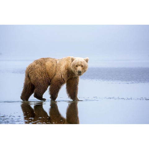 The Bear Walk Gold Ornate Wood Framed Art Print with Double Matting by Doyle, Renee