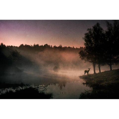 Steamy water Black Modern Wood Framed Art Print with Double Matting by Schuurmans, Wim