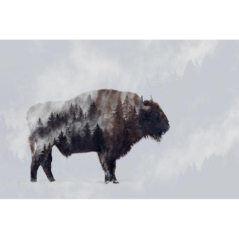 Bison - Double Exposure White Modern Wood Framed Art Print by Beata, Angyalosi