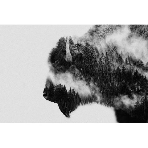 Bison White Modern Wood Framed Art Print by Beata, Angyalosi