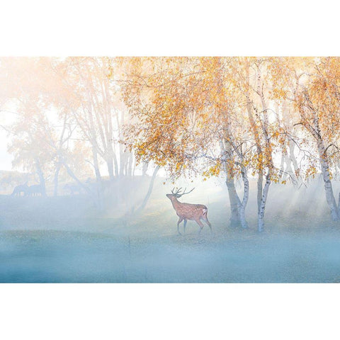 Elk Lost in Mist White Modern Wood Framed Art Print by Simoon