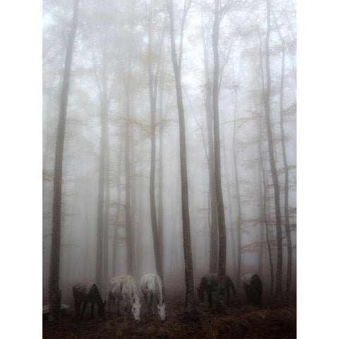 Fog Black Modern Wood Framed Art Print with Double Matting by Martini, Francesco