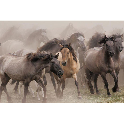 Wild Horses Gold Ornate Wood Framed Art Print with Double Matting by Uhlig, Dieter