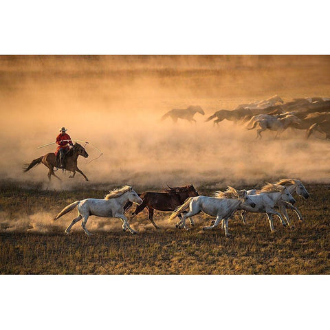 Mongolia Horses Gold Ornate Wood Framed Art Print with Double Matting by Zhang, Libby