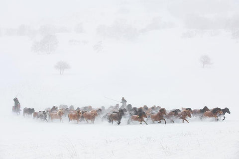 Winter Pastures White Modern Wood Framed Art Print with Double Matting by Xu, Tony