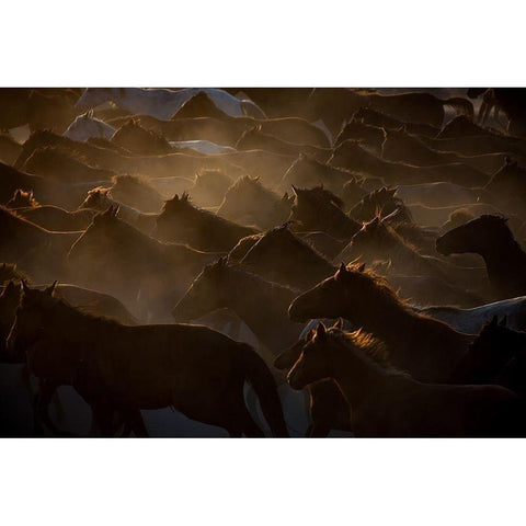 The Herd Black Modern Wood Framed Art Print with Double Matting by Sahin, Ramiz