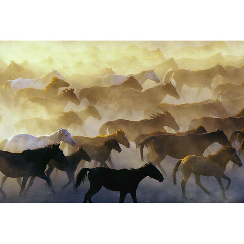 Wild horses Gold Ornate Wood Framed Art Print with Double Matting by Bagci, Emir