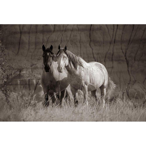 Wild horses Badlands Natl Park SD Sepia Gold Ornate Wood Framed Art Print with Double Matting by Fitzharris, Tim