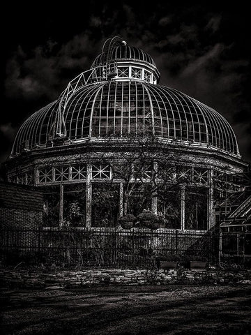 Allan Gardens Conservatory Toronto Black and White White Modern Wood Framed Art Print with Double Matting by Carson, Brian