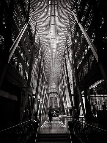 Allen Lambert Galleria Toronto Black and White White Modern Wood Framed Art Print with Double Matting by Carson, Brian