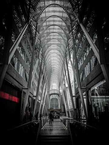 Allen Lambert Galleria Toronto Color Black Ornate Wood Framed Art Print with Double Matting by Carson, Brian