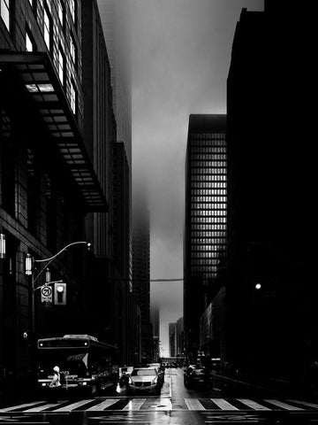 Downtown Toronto Fogfest No 35 Black Ornate Wood Framed Art Print with Double Matting by Carson, Brian