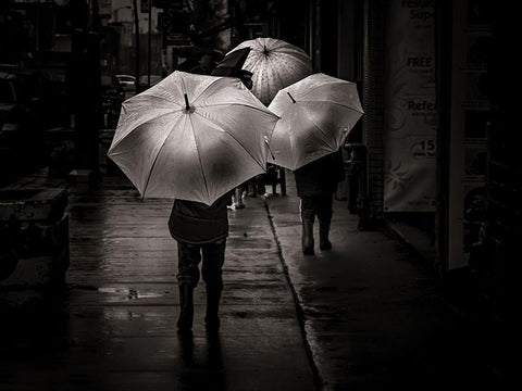 It Was a Rainy Day No 13 Black Ornate Wood Framed Art Print with Double Matting by Carson, Brian