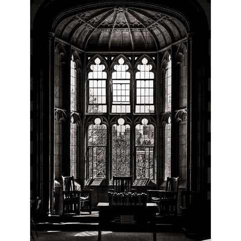 Knox College Caven Library Toronto White Modern Wood Framed Art Print by Carson, Brian