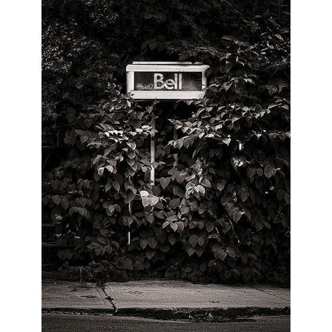 Phone Booth No 5 Black Modern Wood Framed Art Print by Carson, Brian