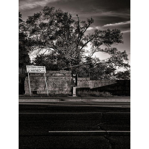 Phone Booth No 11 Gold Ornate Wood Framed Art Print with Double Matting by Carson, Brian