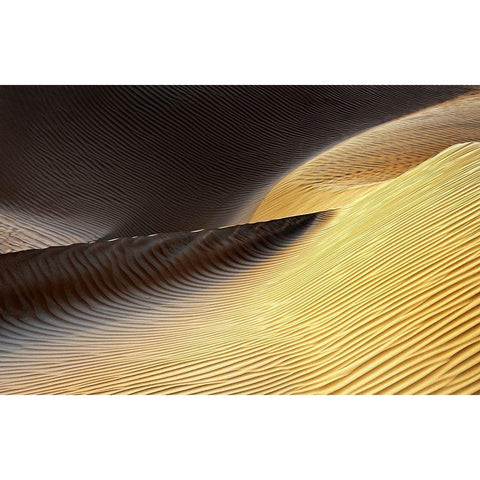 Shapes of the Wind II Gold Ornate Wood Framed Art Print with Double Matting by Gasperlin, Izidor