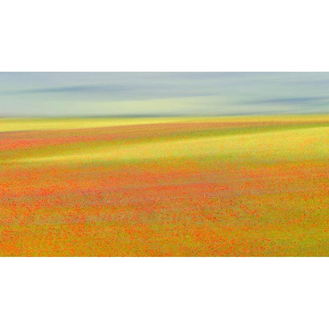 Castelluccio Colors White Modern Wood Framed Art Print by Marchegiani, Roberto