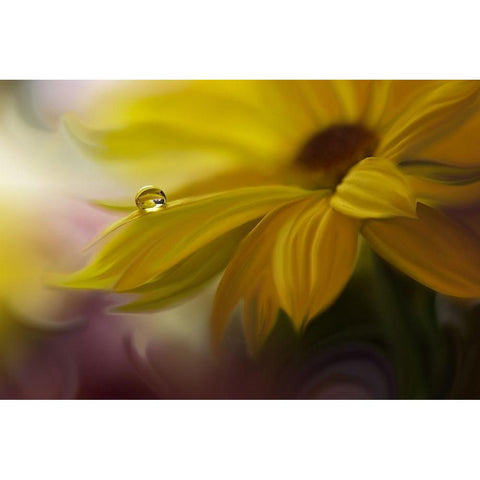 SunBeam Black Modern Wood Framed Art Print by Nan, Juliana