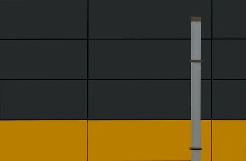 Standing Alone Black Ornate Wood Framed Art Print with Double Matting by Niezen, Jan