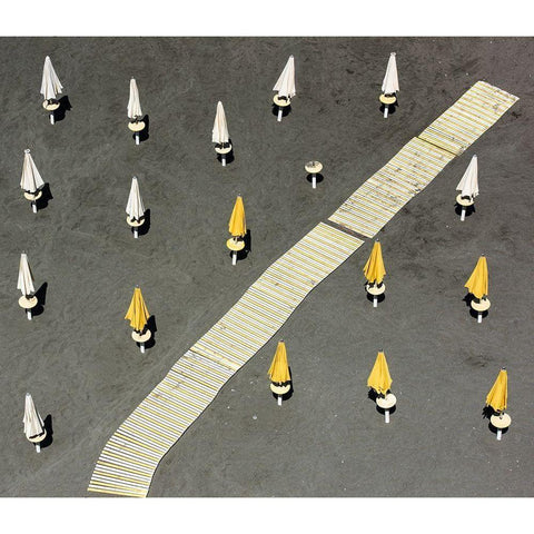 One Tent AWOL White Modern Wood Framed Art Print by Pearson, Wayne