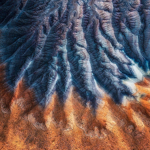 Pleated Skirt Black Ornate Wood Framed Art Print with Double Matting by Xu, Mei