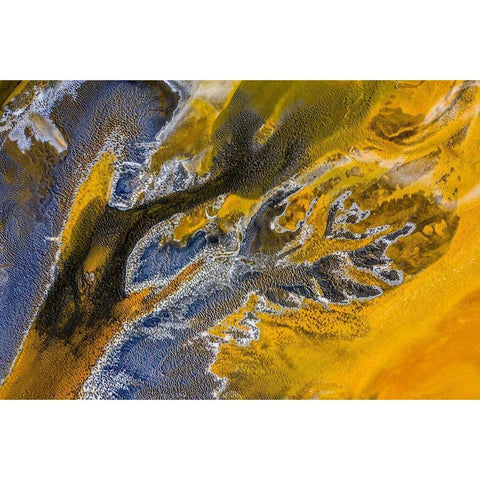 Poisoned flowers White Modern Wood Framed Art Print by Pop, Ovi