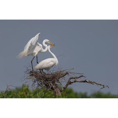 Working Gold Ornate Wood Framed Art Print with Double Matting by Chang, Phillip