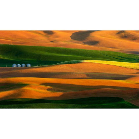 The colorful land Black Modern Wood Framed Art Print by Chang, Phillip
