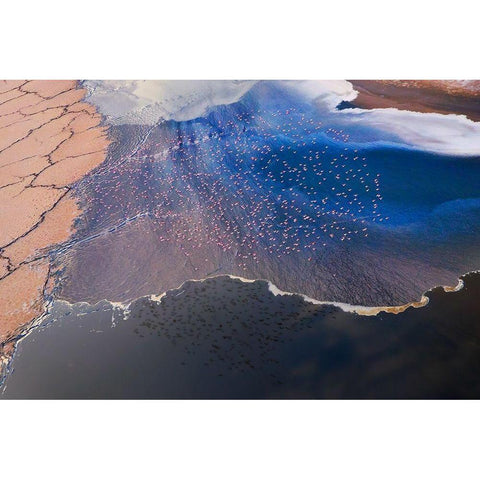 The flower Gold Ornate Wood Framed Art Print with Double Matting by Chang, Phillip