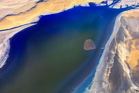 The heart White Modern Wood Framed Art Print with Double Matting by Chang, Phillip