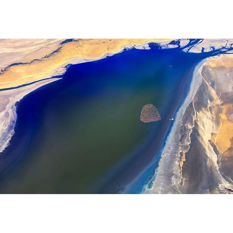 The heart White Modern Wood Framed Art Print by Chang, Phillip