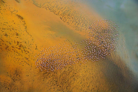 The footprint White Modern Wood Framed Art Print with Double Matting by Chang, Phillip