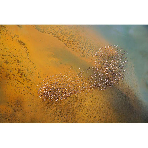 The footprint White Modern Wood Framed Art Print by Chang, Phillip