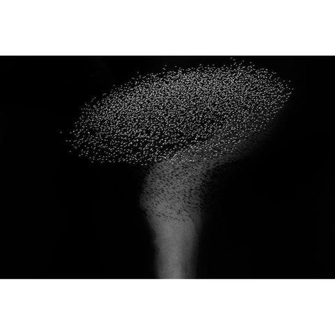 The question mark Gold Ornate Wood Framed Art Print with Double Matting by Chang, Phillip