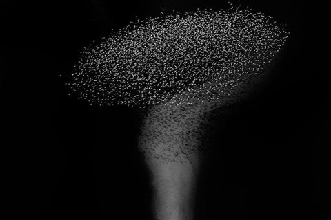 The question mark White Modern Wood Framed Art Print with Double Matting by Chang, Phillip