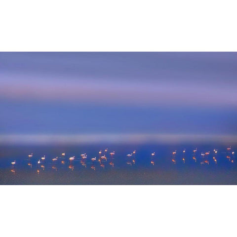 Early Morning Black Modern Wood Framed Art Print with Double Matting by Chang, Phillip