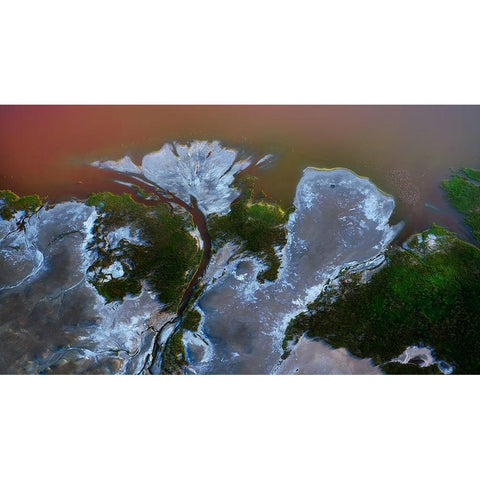 The big flower Black Modern Wood Framed Art Print with Double Matting by Chang, Phillip