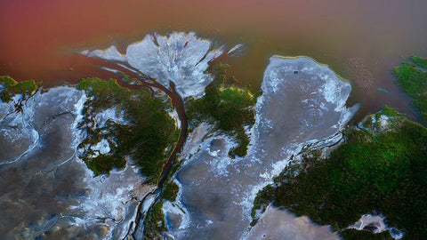 The big flower Black Ornate Wood Framed Art Print with Double Matting by Chang, Phillip