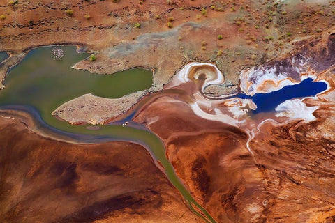 The Beautiful Colors Black Ornate Wood Framed Art Print with Double Matting by Chang, Phillip