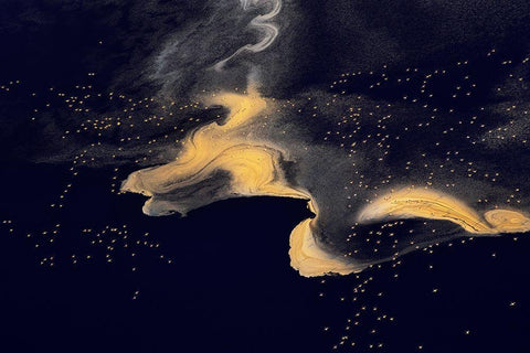 Natron lake Black Ornate Wood Framed Art Print with Double Matting by Chang, Phillip