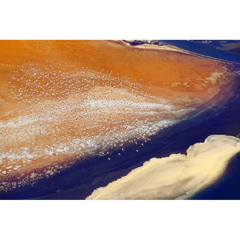 The lake and bird Black Modern Wood Framed Art Print with Double Matting by Chang, Phillip