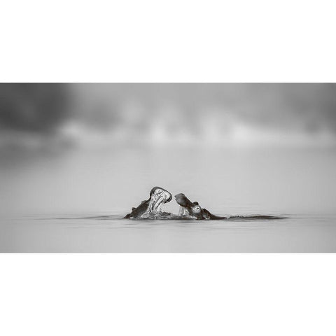 Water conversation Black Modern Wood Framed Art Print with Double Matting by Chang, Phillip